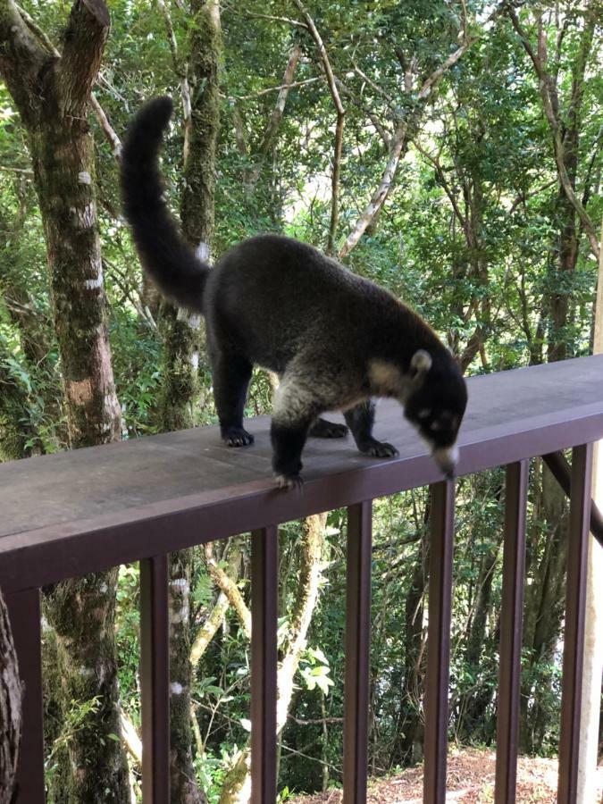 Cantos Del Bosque Monteverde Eksteriør bilde